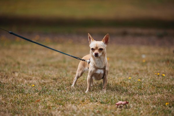 How Can UK Women's Fashion Improve Sustainability Measures?